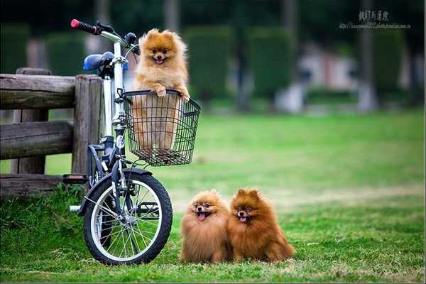 床上用品四件套怎麼選