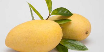 生活小常識：吃芒果會上火嗎 芒果的營養價值