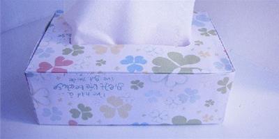 手工DIY：紙巾盒製作教程 DIY手工製作紙巾盒