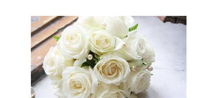 白玫瑰代表什麼意思 白玫瑰的花語有哪些