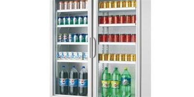 立式冰櫃介紹，立式冰櫃什麼樣的好？