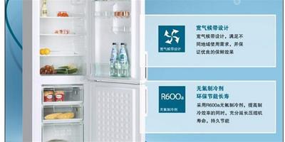 西門子雙開門冰箱哪些型號的品質比較好