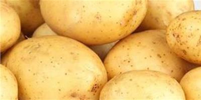 土豆的營養價值
