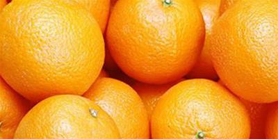 【圖】甜橙的功效與作用 甜橙種植方法