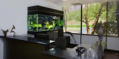 辦公室魚缸怎麼擺辦 公室魚缸擺放風水知識
