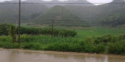 怎樣看墳地風水 墳地好風水標準和原則