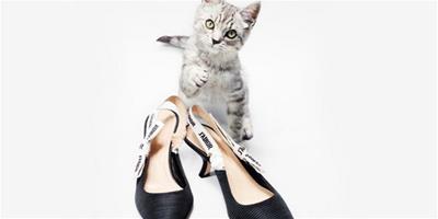 2017春季小趨勢：KITTEN HEELS貓跟鞋推薦