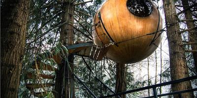 神秘的球狀樹屋旅館 像飛船迷失在森林中