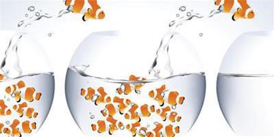 魚缸水渾濁5原因 魚缸水渾濁解決5招