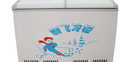 臥式冰櫃尺寸 新飛臥式冰櫃報價