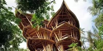 竹木建築設計 體驗大自然生態