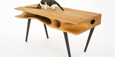 這款桌子讓你時刻關注你的愛貓