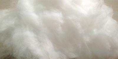 羽絨棉都有哪些特點