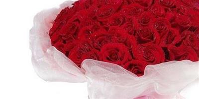 50朵玫瑰的花語 不用的顏色有不同的意義