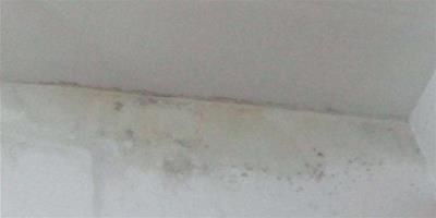 牆面漏水怎麼辦 牆面漏水修復