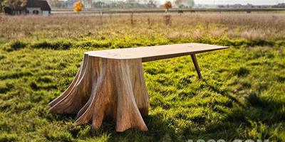 樹墩的延伸——純天然定制木桌