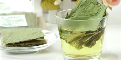 生活小常識：什麼是荷葉茶 荷葉茶有減肥的功效嗎