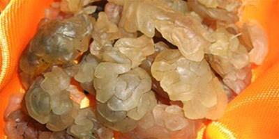 【圖】蛤蟆油的功效與作用 蛤蟆油的吃法