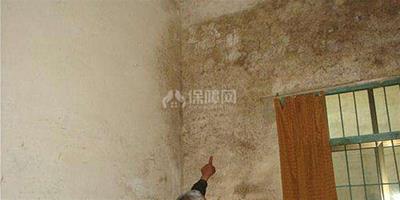 家裡牆壁發黴怎麼處理 細數牆壁發黴對人體的危害