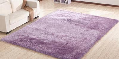 客廳地墊地毯有哪些分類 客廳地墊地毯的護理方法