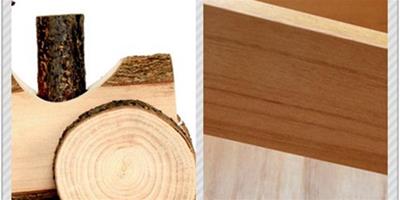 原木和實木的區別 如何辨別家裝常見板材特性