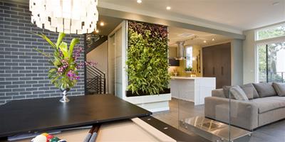 打造家居氧吧生活，室內植物牆輕鬆幫你實現
