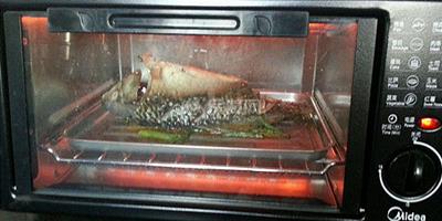 【圖】怎麼用烤箱烤魚 新買的烤箱要怎麼使用