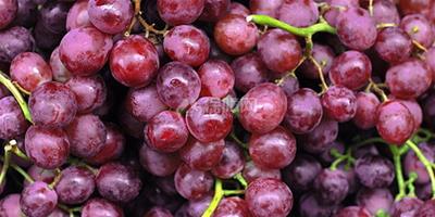 【圖】葡萄怎麼洗乾淨 多吃葡萄對身體有哪些幫助