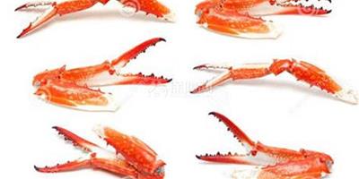 【圖】蟹爪肉怎麼做好吃 帝王蟹和長腳蟹的區別