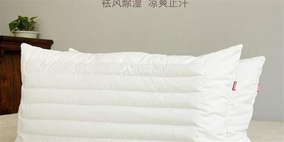 蠶沙枕頭的功效與作用 適合有這些症狀的人枕