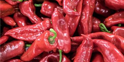 吃辣椒竟然也能減肥？怎麼吃辣椒減肥？