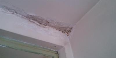 屋頂漏水怎麼辦 屋頂漏水的處理方法有哪些