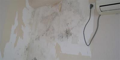 牆上發黴怎麼處理 牆壁發黴會帶來什麼樣的危害