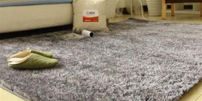 夏季地毯保養方法介紹 地毯清洗需注意什么
