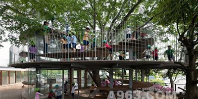幼兒園設計欣賞：與大自然零距離的日本環大樹幼兒園
