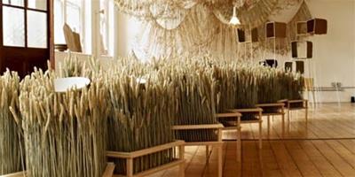 畫廊設計：玉米工藝的畫廊展示設計欣賞