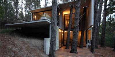 森林中混凝土住宅設計/BAK建筑事務所