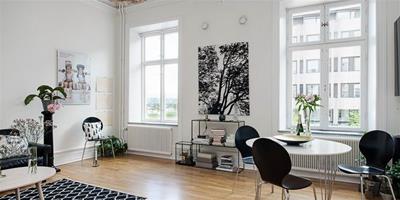 黑白的配合，瑞典精致公寓