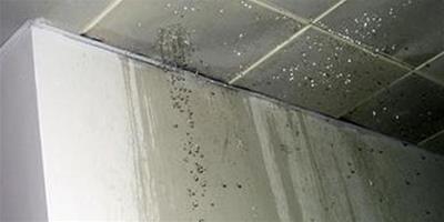 廁所天花板漏水 廁所屋頂滲水怎么處理