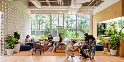自然舒適的辦公室設計 為家居設計帶來充滿活力的靈感