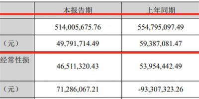 皮阿諾2020上半年總營收5.14億 未來大宗業務將成核心戰略