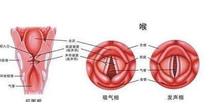 小兒急性喉炎的原因