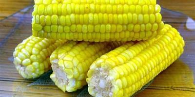 生活小常識：玉米的營養價值 玉米的營養特性