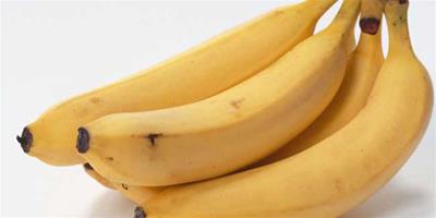 生活小常識：香蕉的營養價值 香蕉的膳食價值