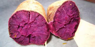 生活小常識：紫薯的營養價值 紫薯的食用禁忌
