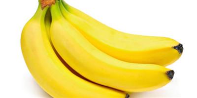 芭蕉和香蕉的區別 如何區分芭蕉和香蕉