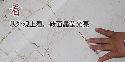 怎麼辨別瓷磚好壞?選購小貼士