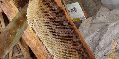 生活小常識：蜂膠的副作用 吃了蜂膠有什麼禁忌