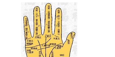 手掌紋路圖解大全 手掌紋路的含義