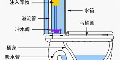 虹吸式馬桶結構圖 虹吸式馬桶原理